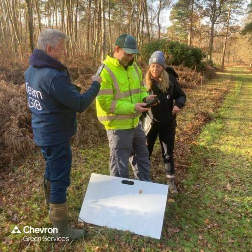 CGC trial innovative drone woodland surveys with Grown in Britain