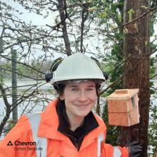 One of our Field Ecologists shares what it's like to work at CGS