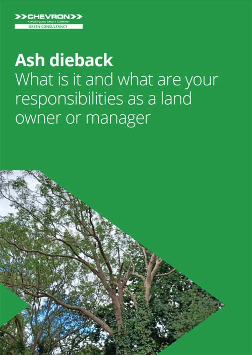 Download ash dieback guide – PDF