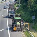 Case Study - Ringway enhancing verge cyclical maintenance