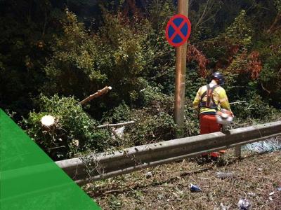 Barrier de-vegetation on the A2 ensures essential maintenance works can take place