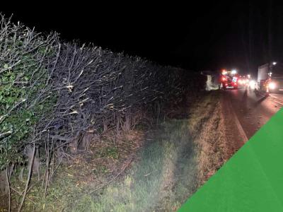 Cambridgeshire team brings order to unruly hedgerows on A47