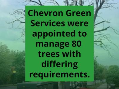 CGS protect biodiversity in North London
