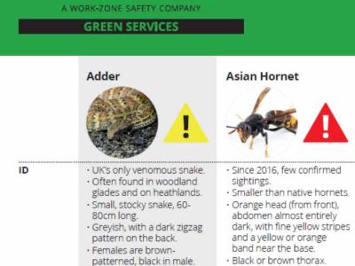 Our Consultancy team launch their quarterly Flora and Fauna calendar