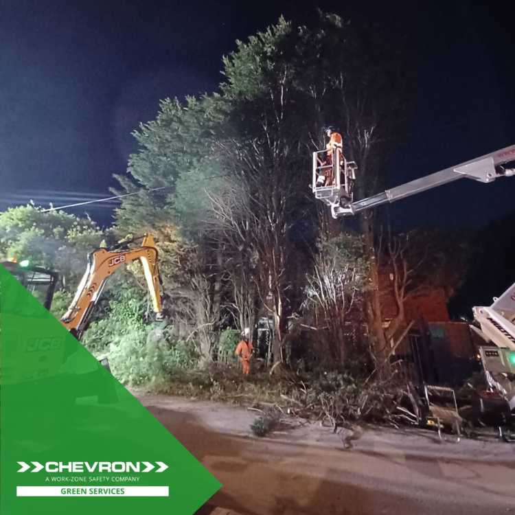 Complicated tree removal around overground cables