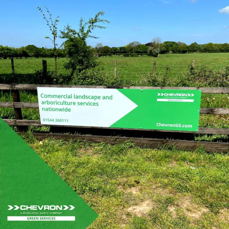 Sponsoring local Midlands cricket team