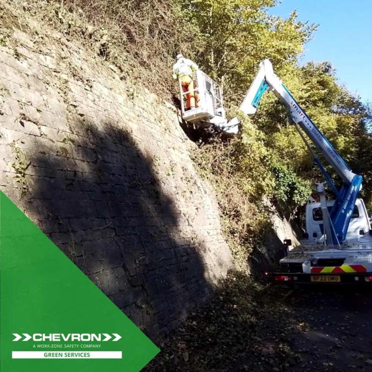 Chevron Green Services collaborates with Chevron Traffic Management for a de-vegetation project