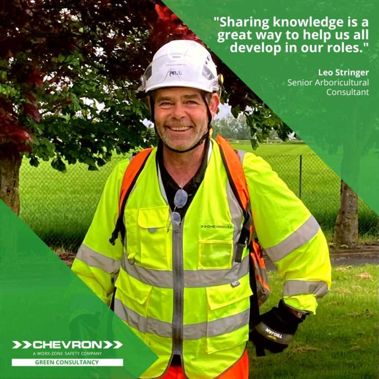 Meet our newly promoted Senior Arboricultural Consultant Leo Stringer