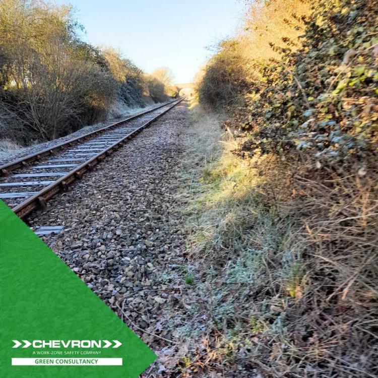 CGC conduct Preliminary Ecological Assessments along the railway line