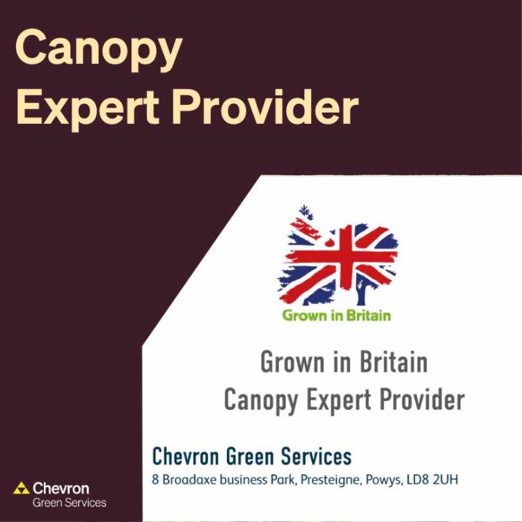 Chevron Green Consultancy are certified Expert Canopy Providers by Grown in Britain