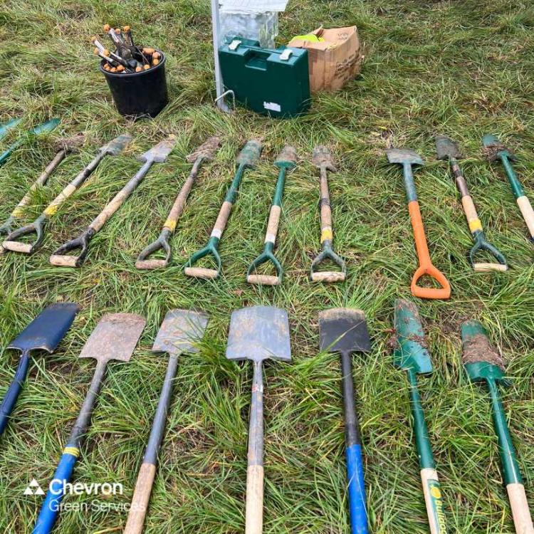 CGS supports the Lower Thames Crossing social value tree planting initiative