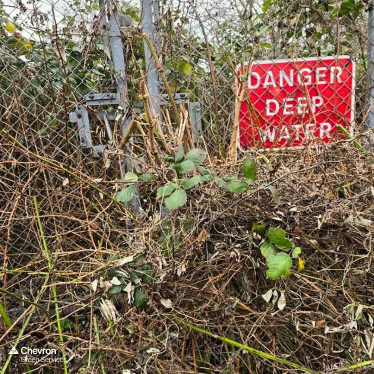 Crowborough team clear an overgrown balancing pond near A27