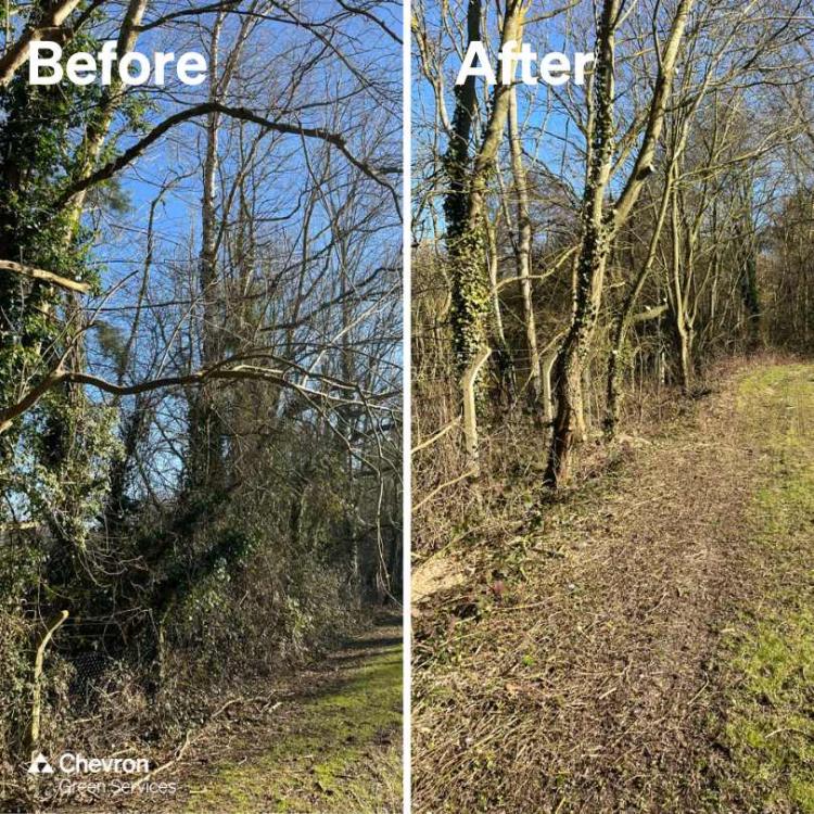 Dedicated in-house Consultancy supports on utilities arboriculture works