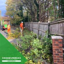 Tree works on overhanging branches means we get to meet our happy customers 