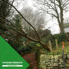 Emergency call out for a hazardous tree removal in the Peak District