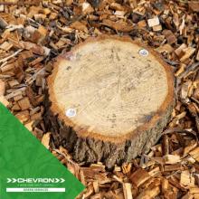 Innovative Eco Plugs revolutionise tree stump removal for London client