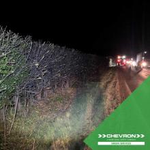 Cambridgeshire team brings order to unruly hedgerows on A47