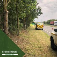 CGC undertakes Invasive, Non-native species surveys along 900km of major roads in the East of England