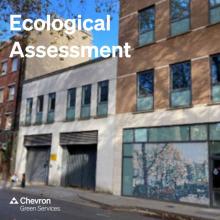 Ecological assessments provided at planning and design stages