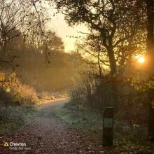 CGC accredited Expert Canopy Providers by Grown in Britain and Forest Canopy Foundation