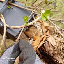 Why it's important to embrace biodiversity in infrastructure and construction projects