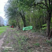 5m buffer zone set up around nesting bird discovered on M2 fence line clearance