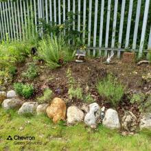 CGS Fenstanton depot donate left over tree saplings to client depot
