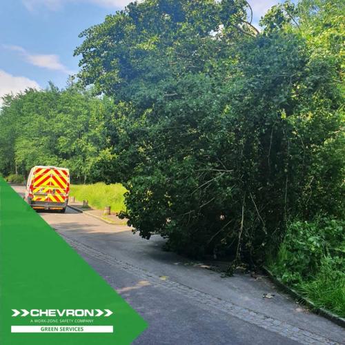Emergency tree removal on the A21 sees layby re-open within four hours