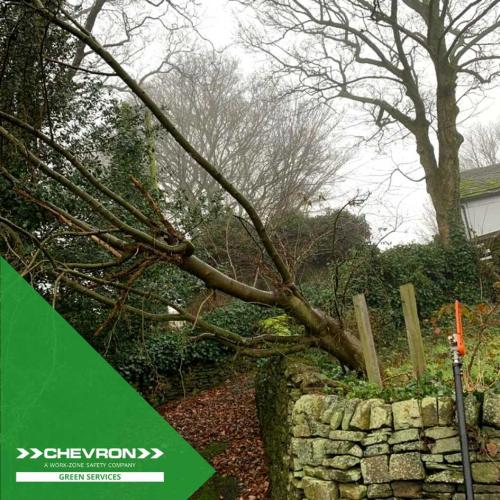 Emergency call out for a hazardous tree removal in the Peak District