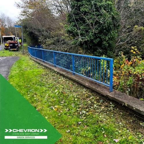 Structure de-vegetation and weed removal to enable easy access for a bridge survey
