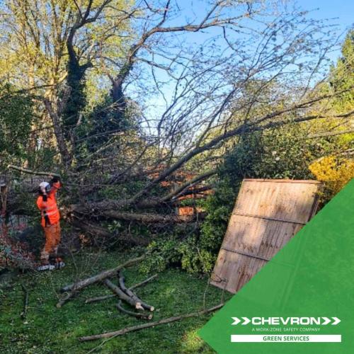 CGS removes tree and mends fence damaged in high winds