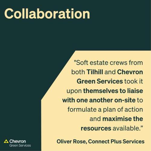 CGS liaise with Tilhill to get the job done for our client
