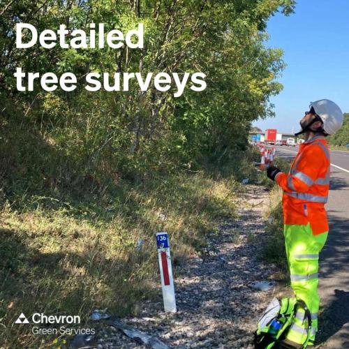 Chevron Green Consultancy work on detailed tree surveys across the Midlands