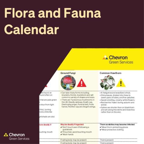 Download our latest Flora and Fauna calendar here 
