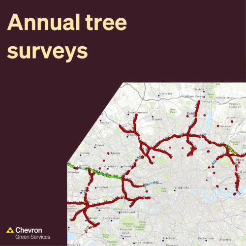 CGC work with TKJV on Annual Tree Surveys across North London