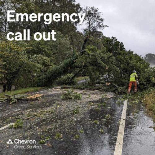 CGS provide emergency support, removing a fallen tree blocking the A11
