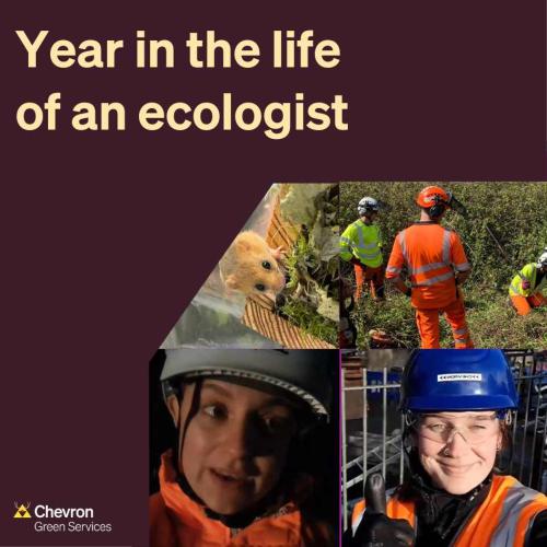Watch the whole series of our Year in the Life of an Ecologist documentary