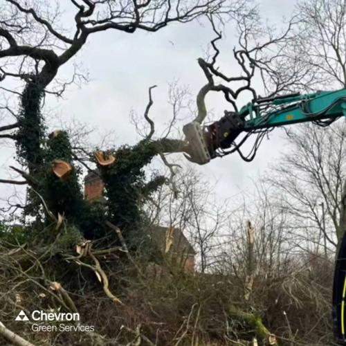 CGS use Mech Arb for emergency tree removal