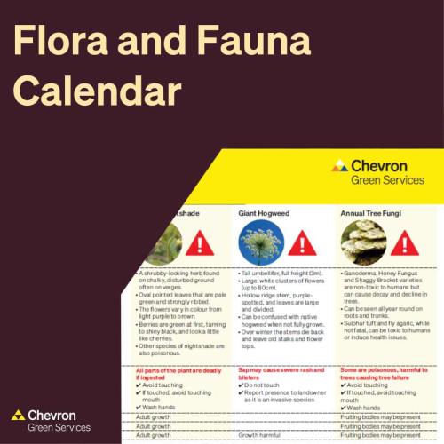 Our updated Flora and Fauna calendar is available to download
