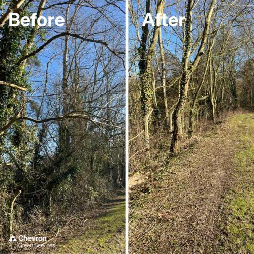 Dedicated in-house Consultancy supports on utilities arboriculture works