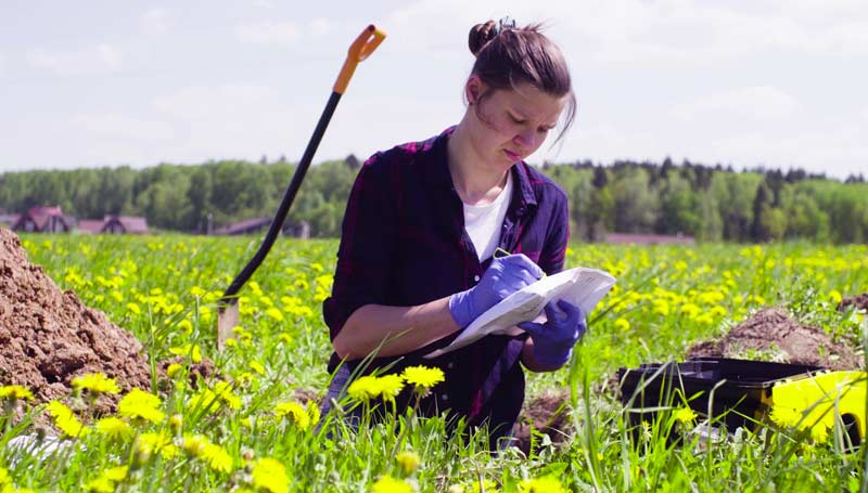 Why choose Chevron Green Services